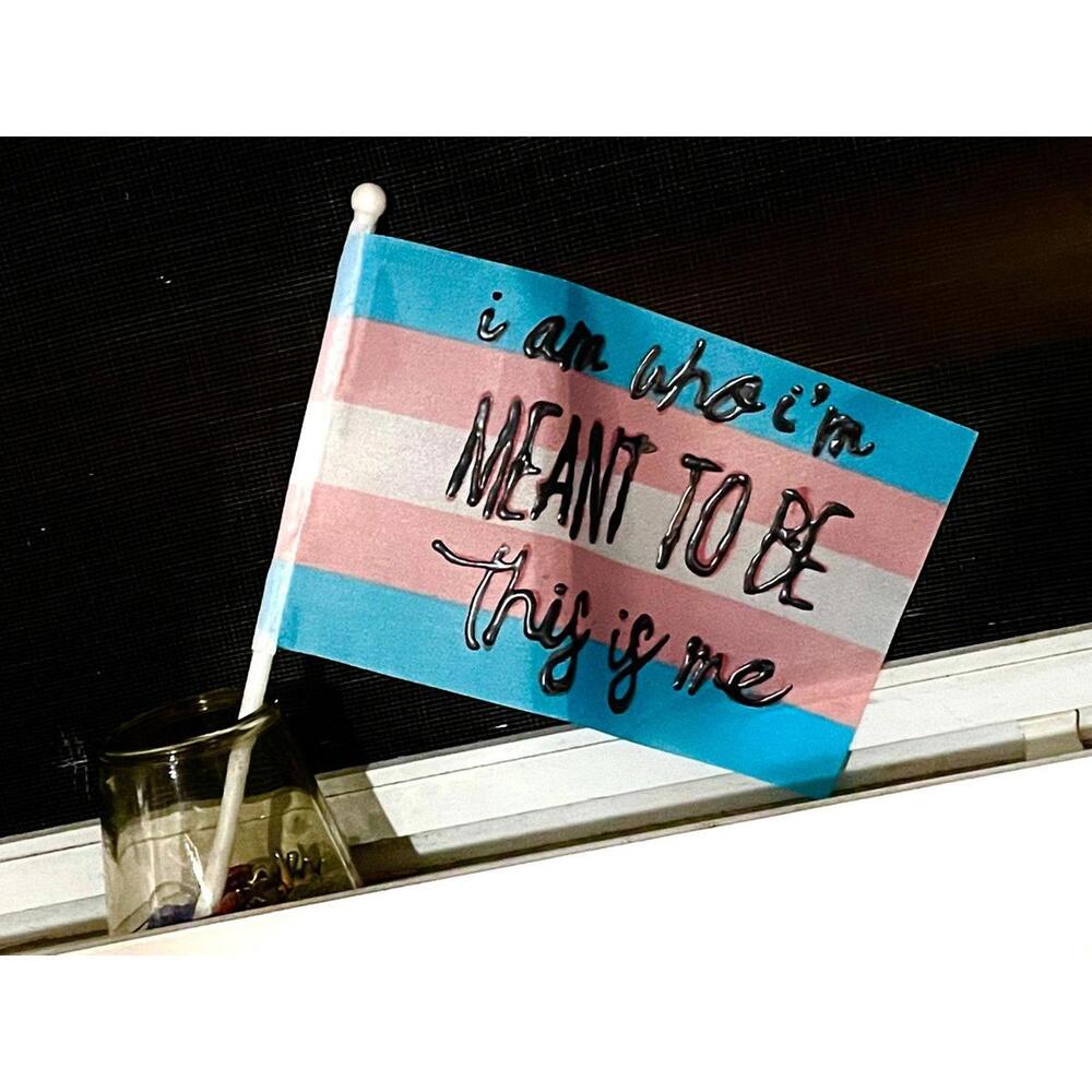 Trans transgender trans Pride flag lgbt gay parade tiny mini stick fem masc